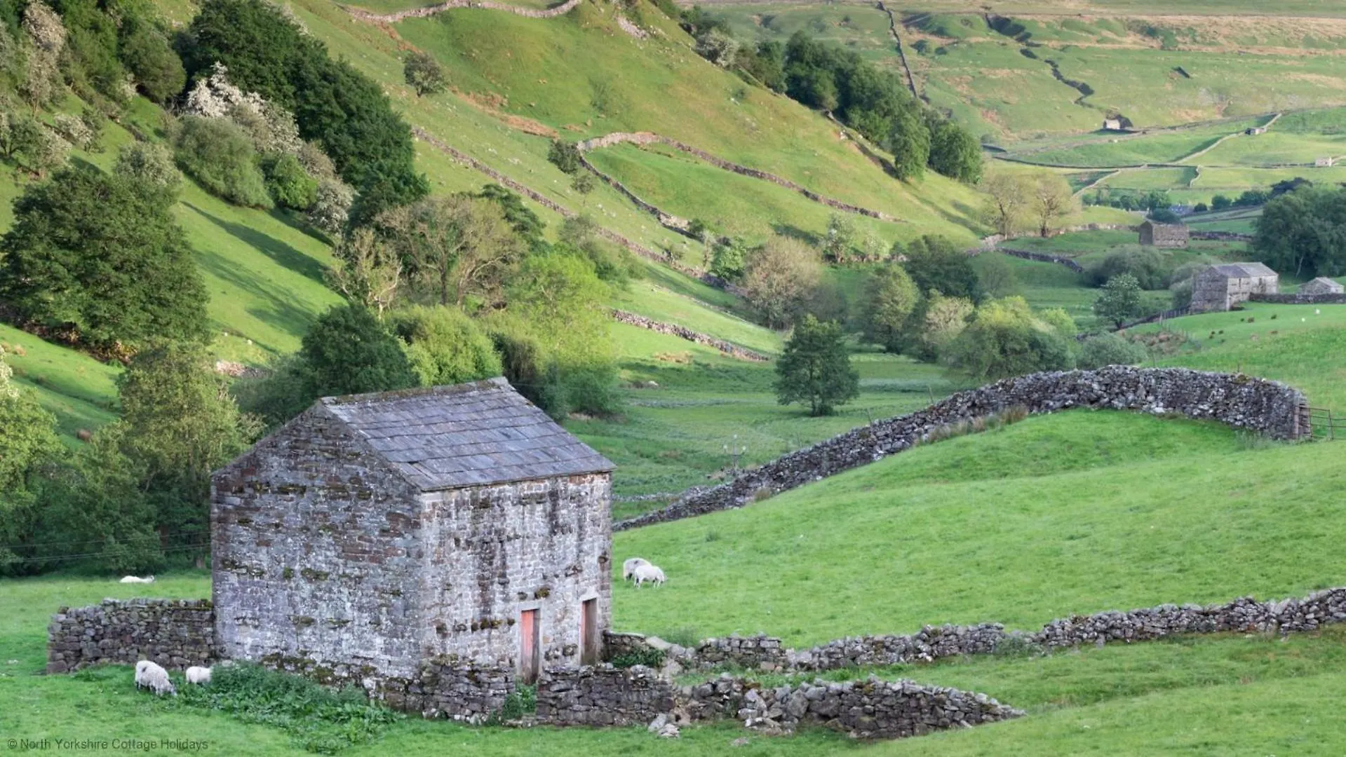 Feriehus Stunning Lodge At Runswick Bay - Dog Friendly Storbritannien