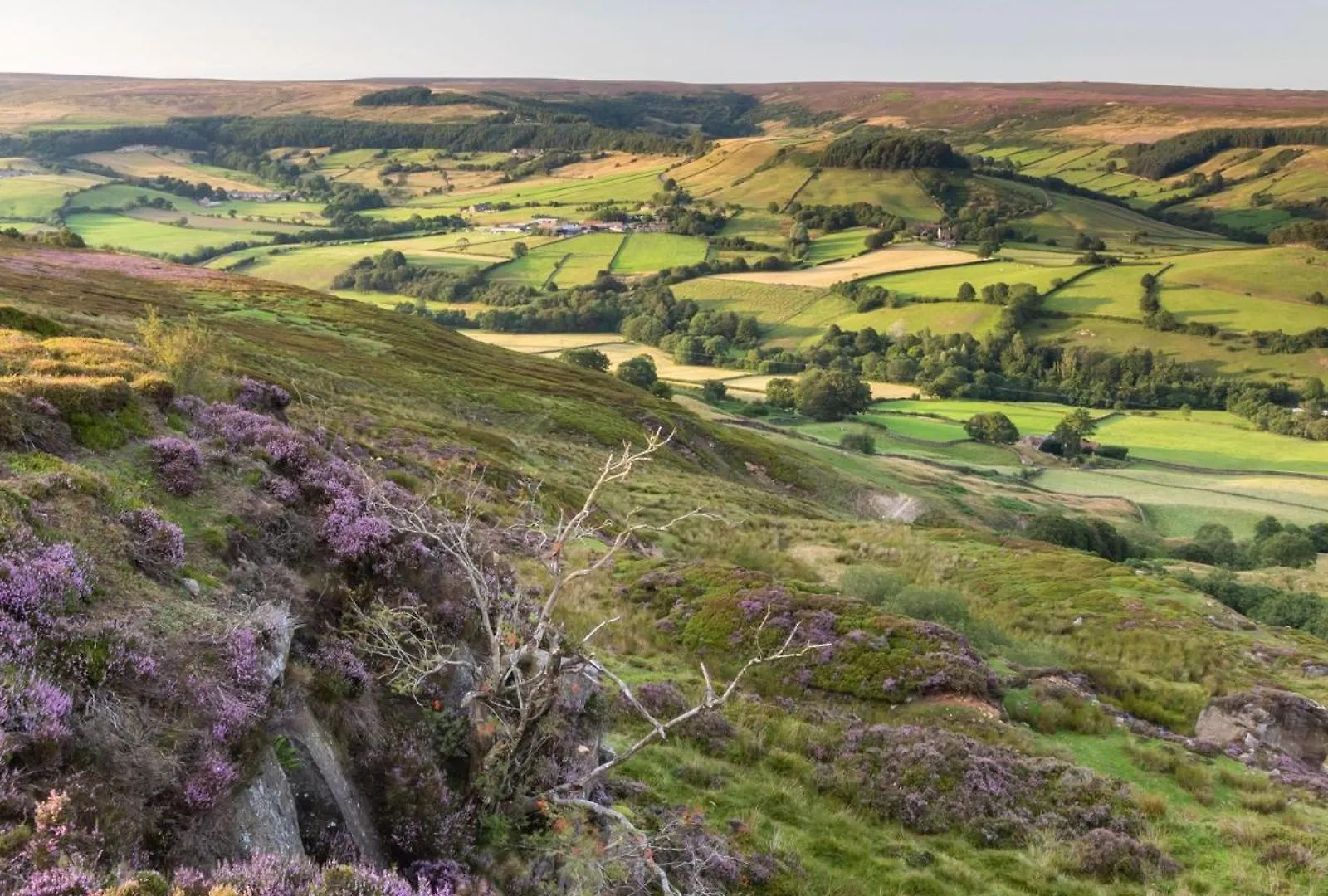 Stunning Lodge At Runswick Bay - Dog Friendly Сasa de vacaciones
